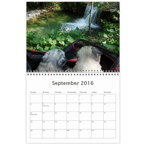 Pug Calendar Omi Clara 2016 By Lil Creatures Sep 2016