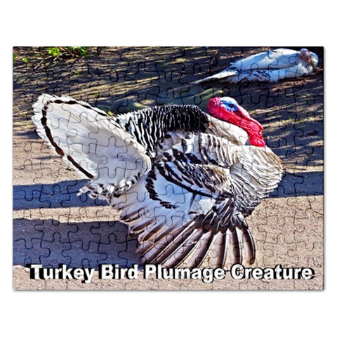 Turkey Bird Plumage Creature Puzzle 2015 By Pamela Sue Goforth Front