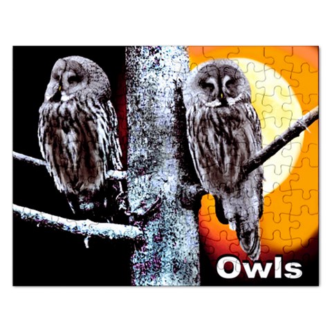 Owls Puzzle 2015 By Pamela Sue Goforth Front
