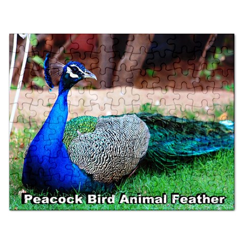 Peacock Bird  Animal Feather  Puzzle 2015 By Pamela Sue Goforth Front