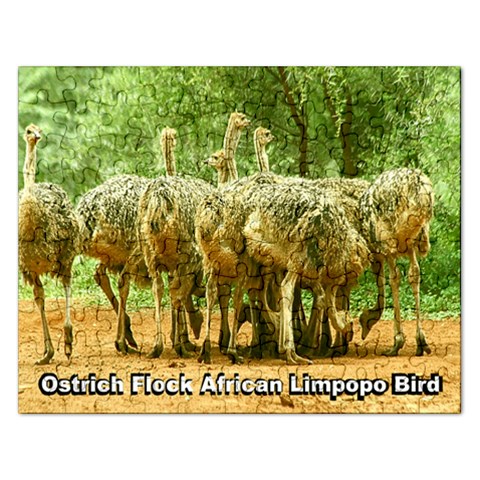 Ostrich Flock  African Limpopo Bird;   Puzzle 2015 By Pamela Sue Goforth Front