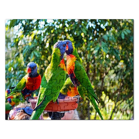 Parrots Front