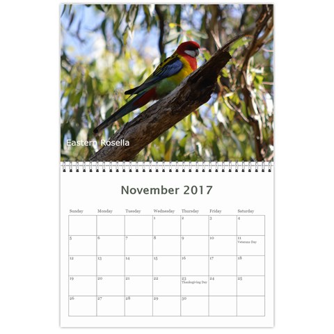 2017 Calendar By P Wells Nov 2017