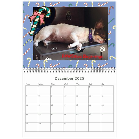 Pawsitive Beginnings Calendar  By Lamerle Dec 2025