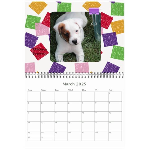 Pawsitive Beginnings Calendar  By Lamerle Mar 2025