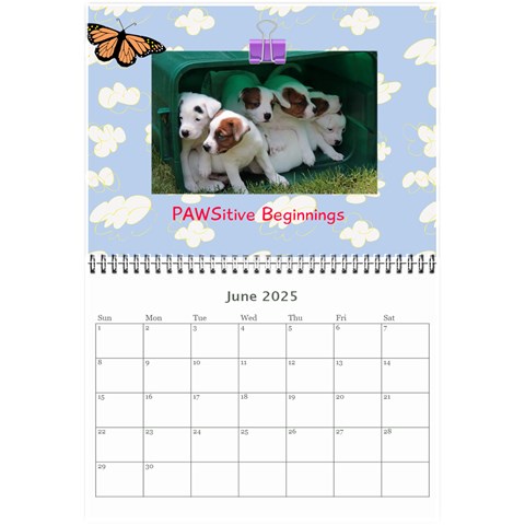 Pawsitive Beginnings Calendar  By Lamerle Jun 2025