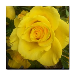 Yellow Rose Tile Coaster by glendatartist