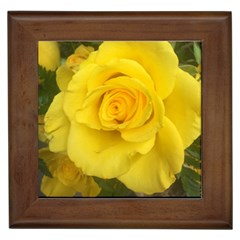 Yellow Rose Framed Tile by glendatartist