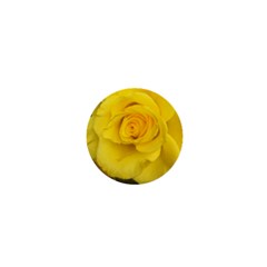 Yellow Rose 1  Mini Button by glendatartist