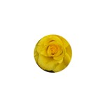 Yellow rose 1  Mini Button Front