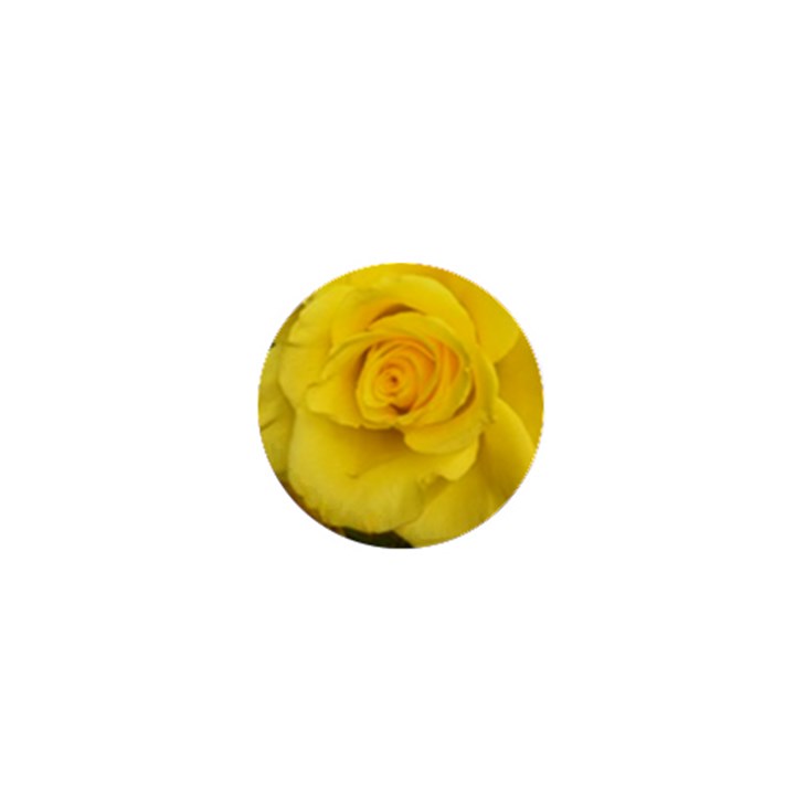 Yellow rose 1  Mini Button