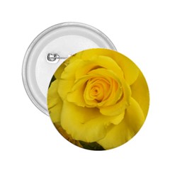 Yellow Rose 2 25  Button by glendatartist