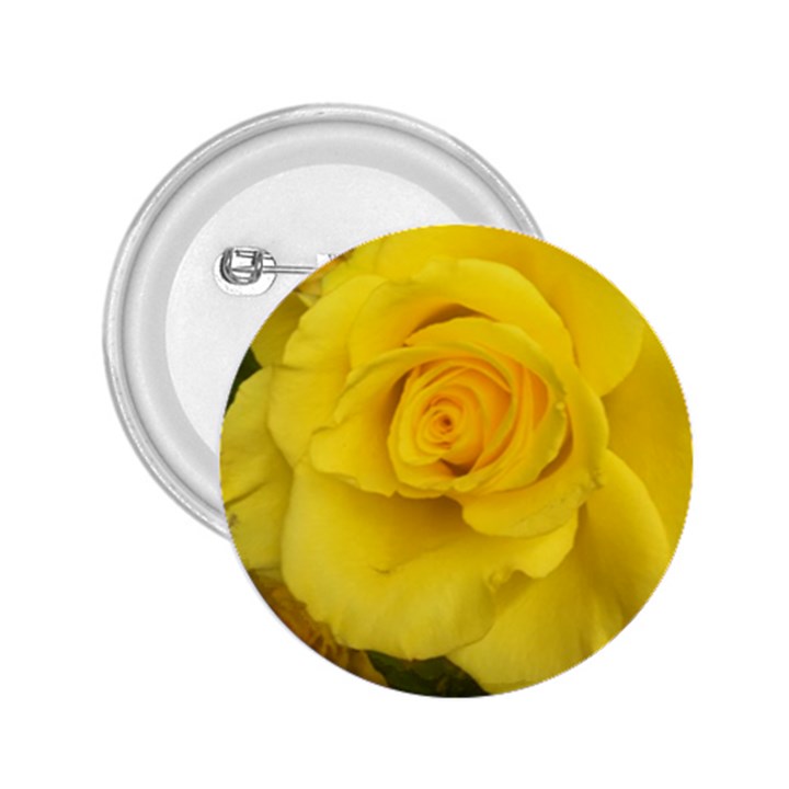 Yellow rose 2.25  Button