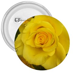 Yellow Rose 3  Button by glendatartist