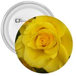 Yellow rose 3  Button Front