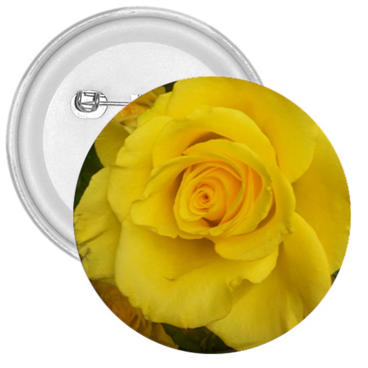 Yellow rose 3  Button