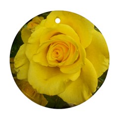 Yellow Rose Ornament (round) by glendatartist