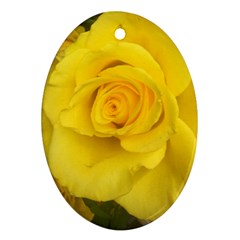 Yellow Rose Ornament (oval) by glendatartist