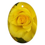 Yellow rose Ornament (Oval) Front