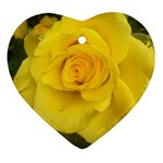 Yellow rose Ornament (Heart) Front