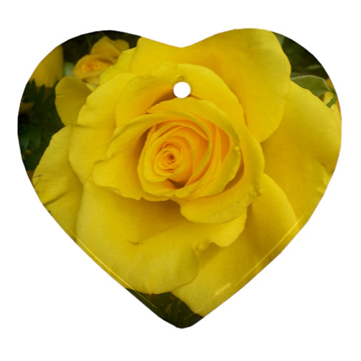 Yellow rose Ornament (Heart)