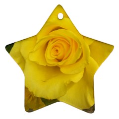 Yellow Rose Ornament (star) by glendatartist