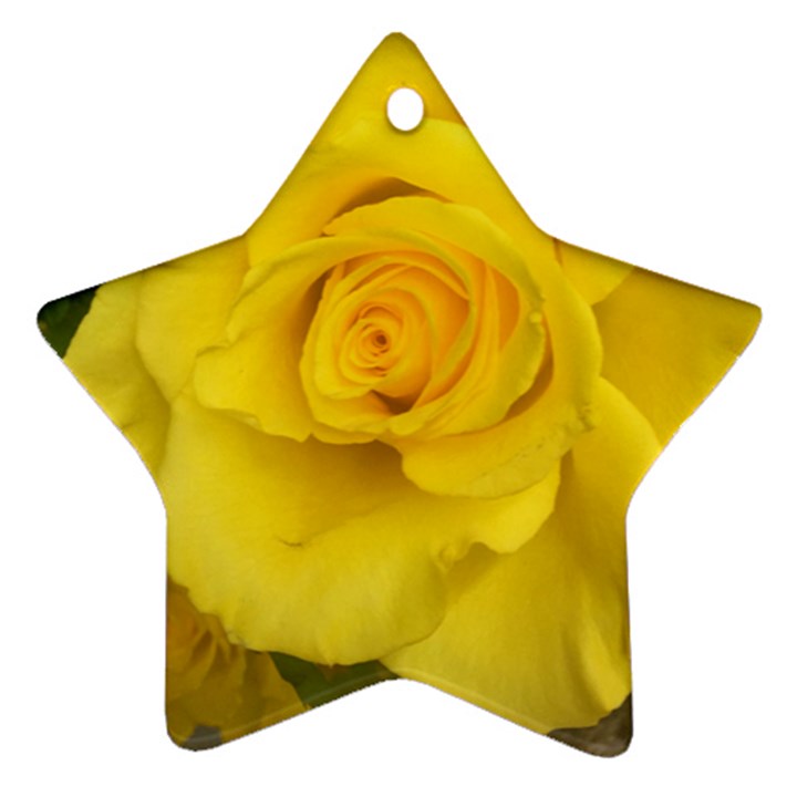 Yellow rose Ornament (Star)