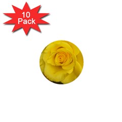 Yellow Rose 1  Mini Button (10 Pack)  by glendatartist