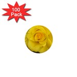 Yellow rose 1  Mini Button (100 pack)  Front