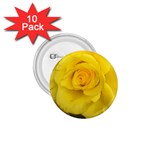 Yellow rose 1.75  Button (10 pack)  Front