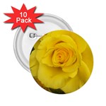 Yellow rose 2.25  Button (10 pack) Front