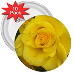 Yellow rose 3  Button (10 pack) Front