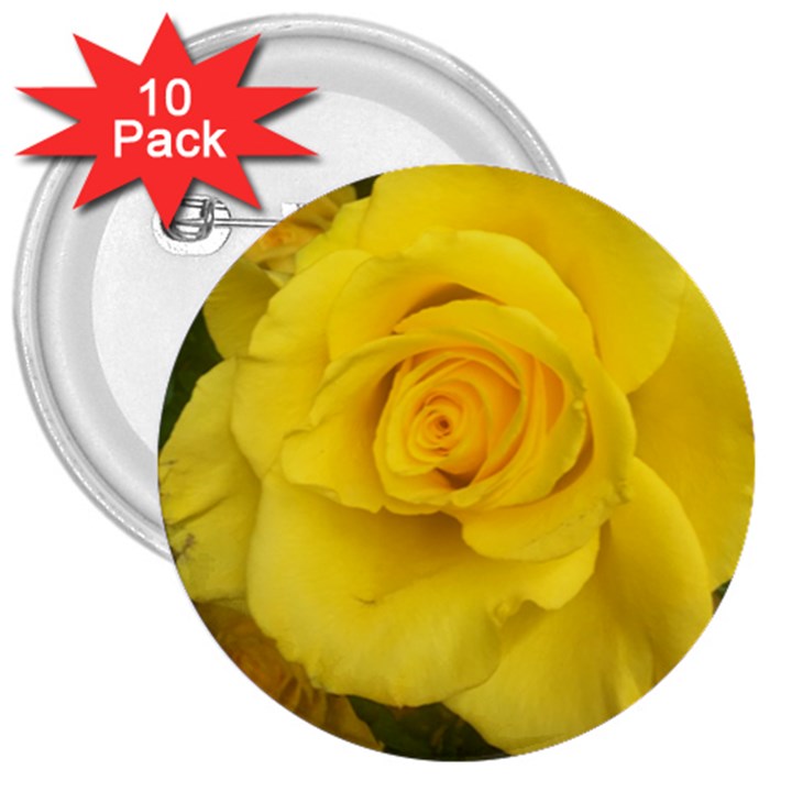 Yellow rose 3  Button (10 pack)