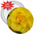 Yellow rose 3  Button (100 pack) Front