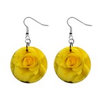 Yellow rose 1  Button Earrings Front