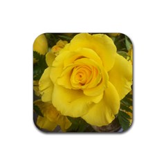 Yellow Rose Rubber Coaster (square) by glendatartist