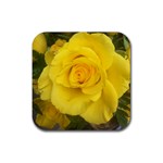 Yellow rose Rubber Coaster (Square) Front