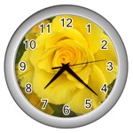 Yellow rose Wall Clock (Silver) Front