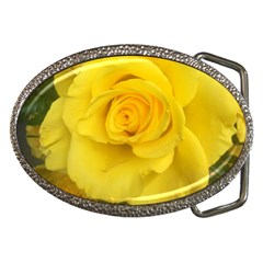 Yellow Rose Belt Buckle by glendatartist