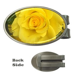 Yellow Rose Money Clip (oval) by glendatartist