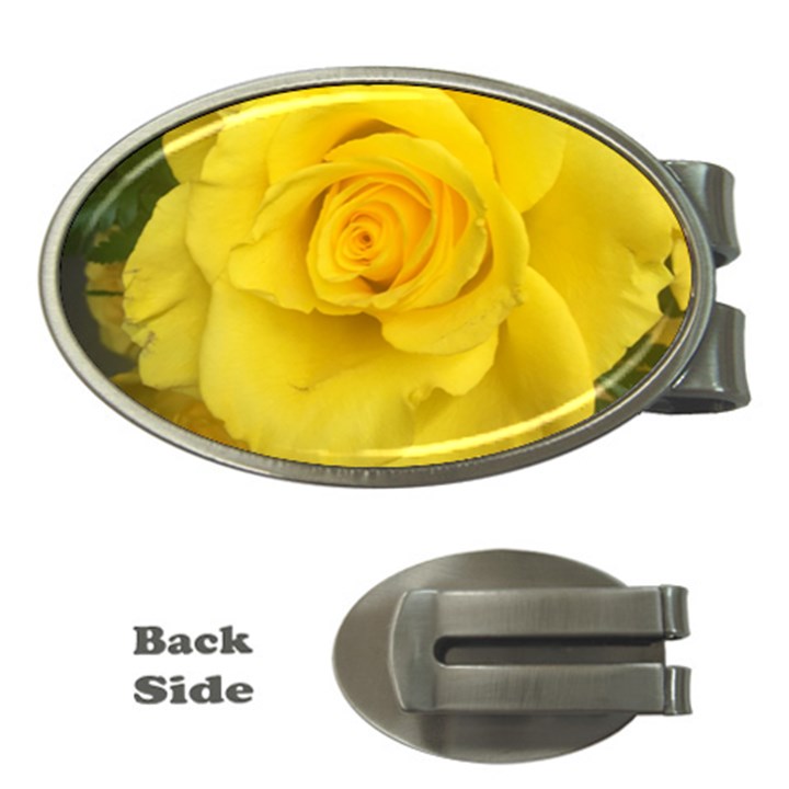 Yellow rose Money Clip (Oval)