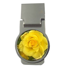 Yellow Rose Money Clip (round) by glendatartist