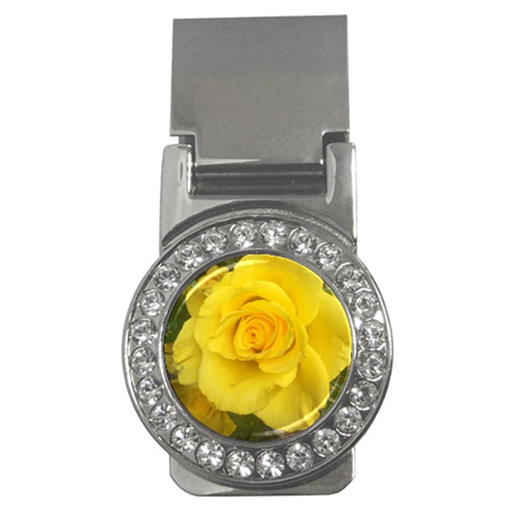 Yellow rose Money Clip (CZ)