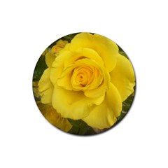 Yellow Rose Rubber Coaster (round) by glendatartist