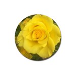 Yellow rose Magnet 3  (Round) Front