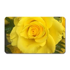 Yellow Rose Magnet (rectangular) by glendatartist