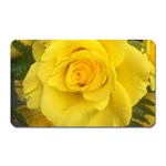 Yellow rose Magnet (Rectangular) Front