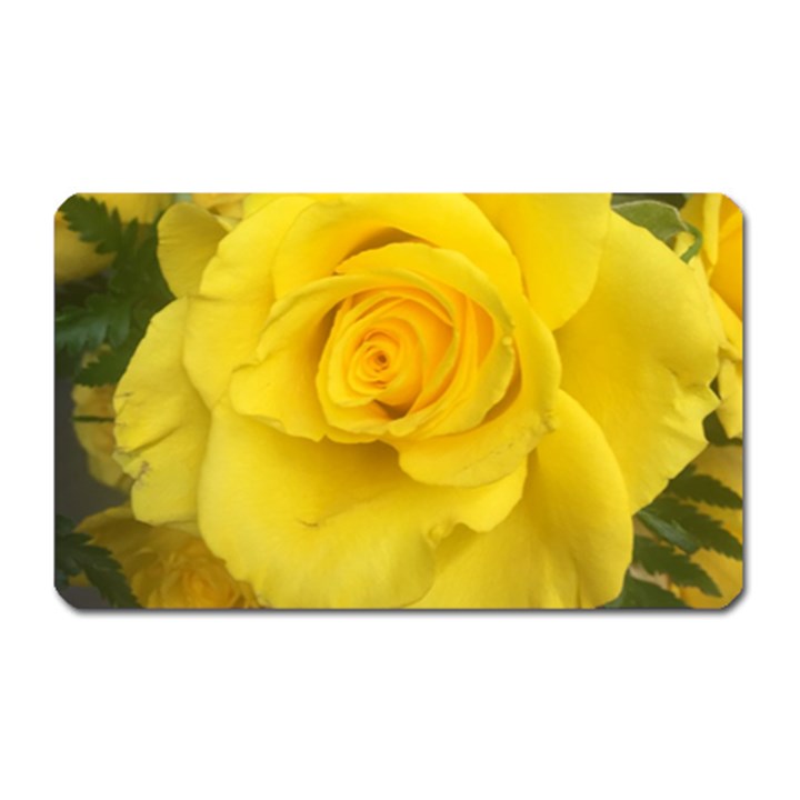 Yellow rose Magnet (Rectangular)