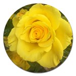 Yellow rose Magnet 5  (Round) Front