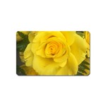 Yellow rose Magnet (Name Card) Front